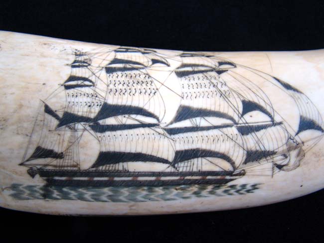 Possibly the Most Beautiful pair of 19th century American Whale's Teeth on the Market Today!! — image 6